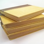 photo_8796_20090101