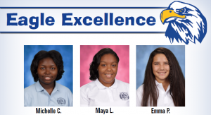 My michigan hero essay contest 2013